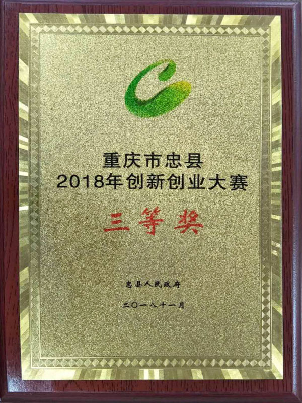 创新创业大赛三等奖.jpg